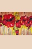 Silk Painting- Poppies Dream